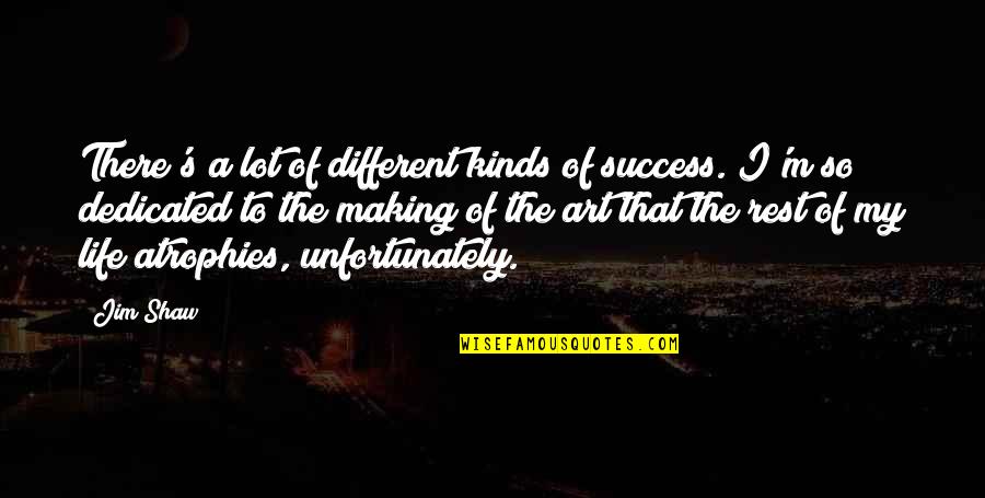 Different Than The Rest Quotes By Jim Shaw: There's a lot of different kinds of success. Different Than The Rest Quotes By Jim Shaw: There's a lot of different kinds of success.
