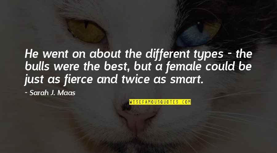 Different Types Quotes By Sarah J. Maas: He went on about the different types -