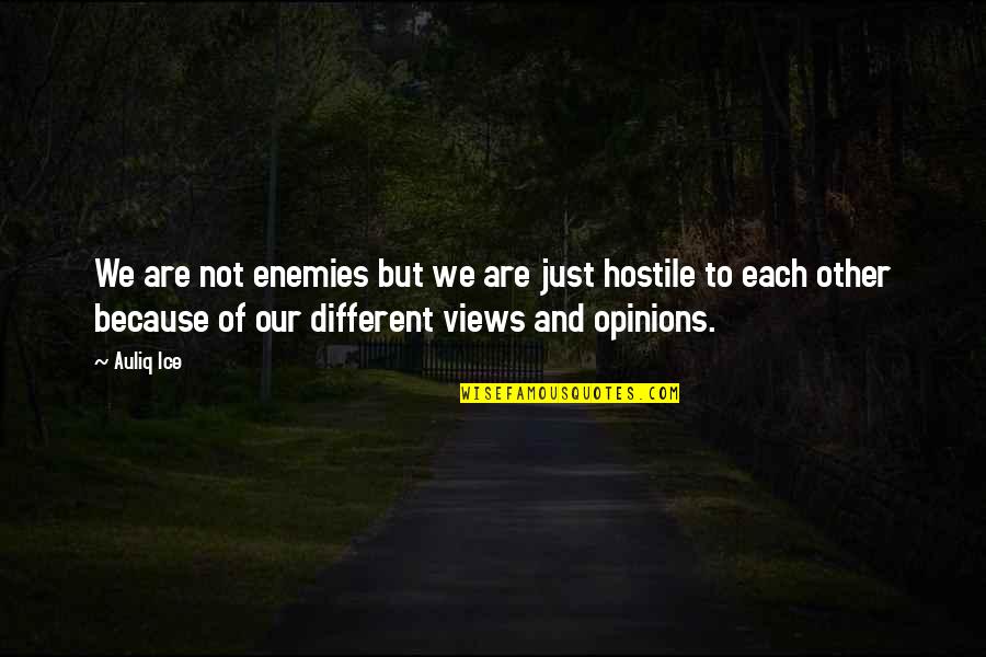 Different Views Quotes By Auliq Ice: We are not enemies but we are just