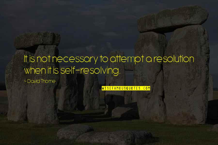 Different Yolo Quotes By David Thorne: It is not necessary to attempt a resolution