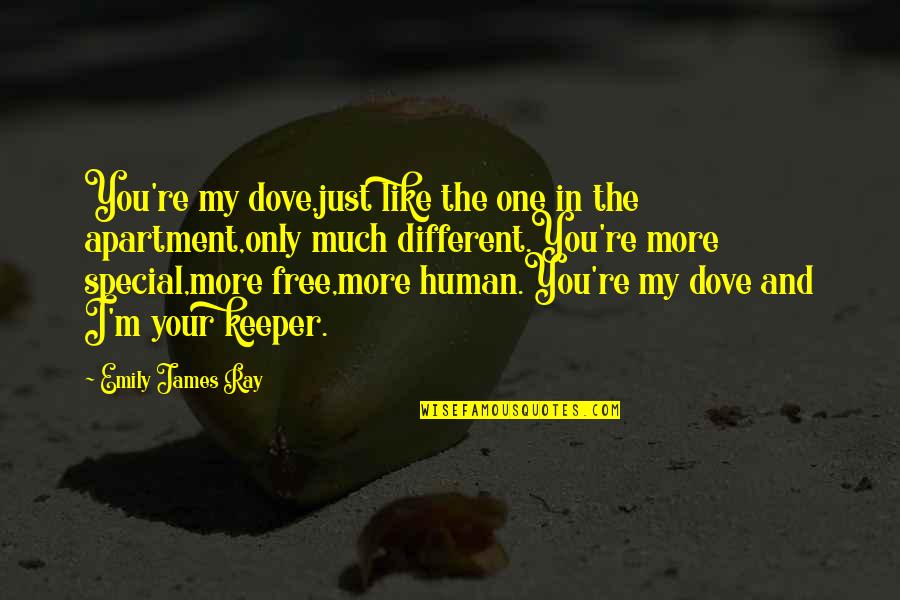 Different Your Quotes By Emily James Ray: You're my dove,just like the one in the