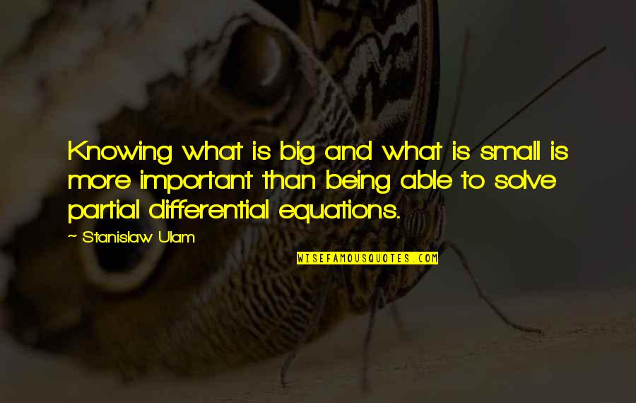 Differential Equations Quotes By Stanislaw Ulam: Knowing what is big and what is small