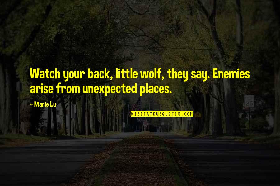 Differernce Quotes By Marie Lu: Watch your back, little wolf, they say. Enemies