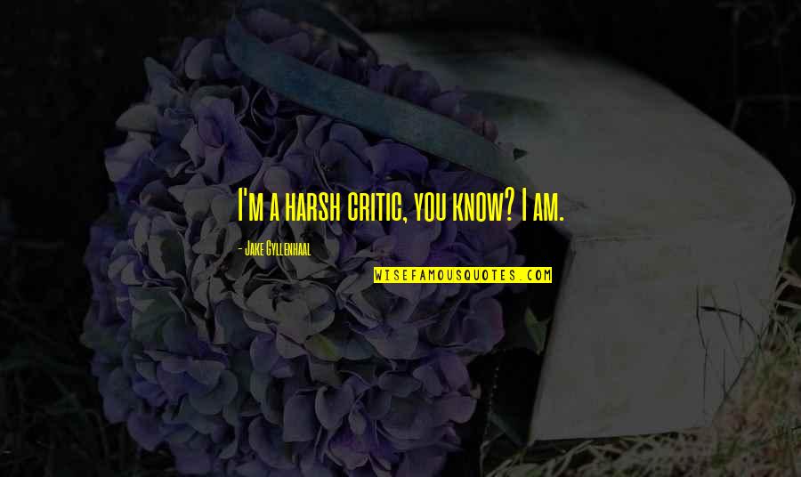 Difficult Choices Love Quotes By Jake Gyllenhaal: I'm a harsh critic, you know? I am.