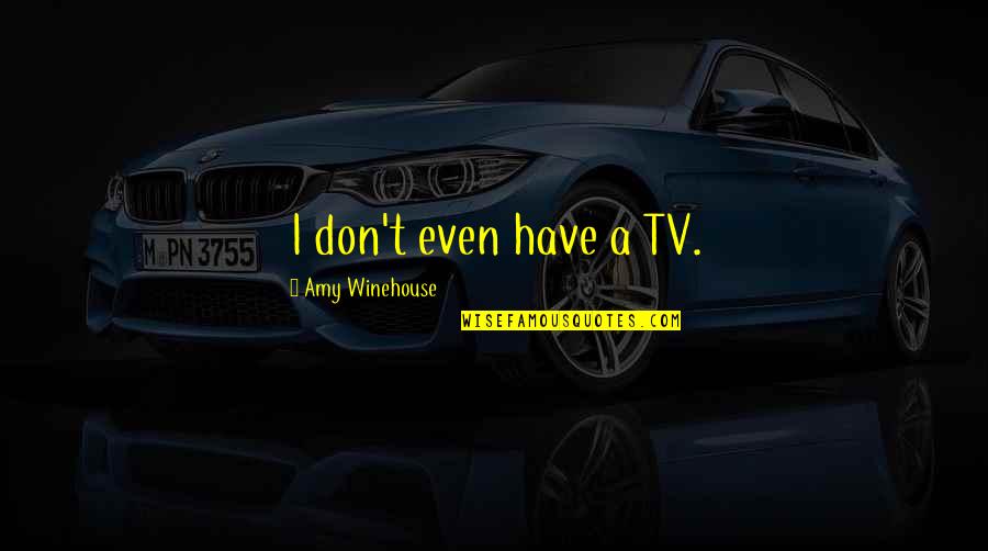 Difficult Guys Quotes By Amy Winehouse: I don't even have a TV.