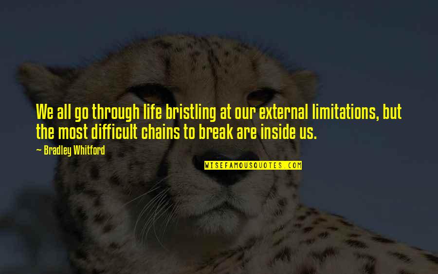 Difficult Life Quotes By Bradley Whitford: We all go through life bristling at our Difficult Life Quotes By Bradley Whitford: We all go through life bristling at our
