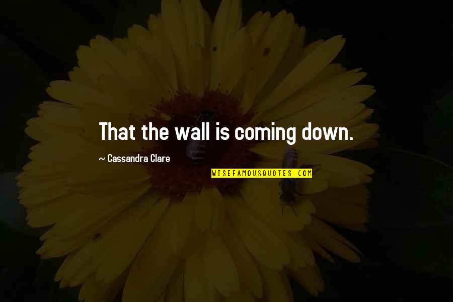Difficult To Express Feelings Quotes By Cassandra Clare: That the wall is coming down.