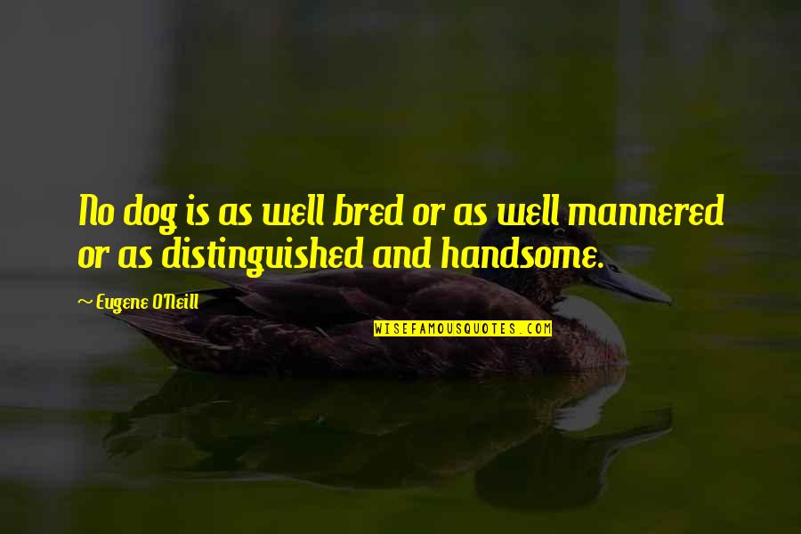 Diffida Inglese Quotes By Eugene O'Neill: No dog is as well bred or as