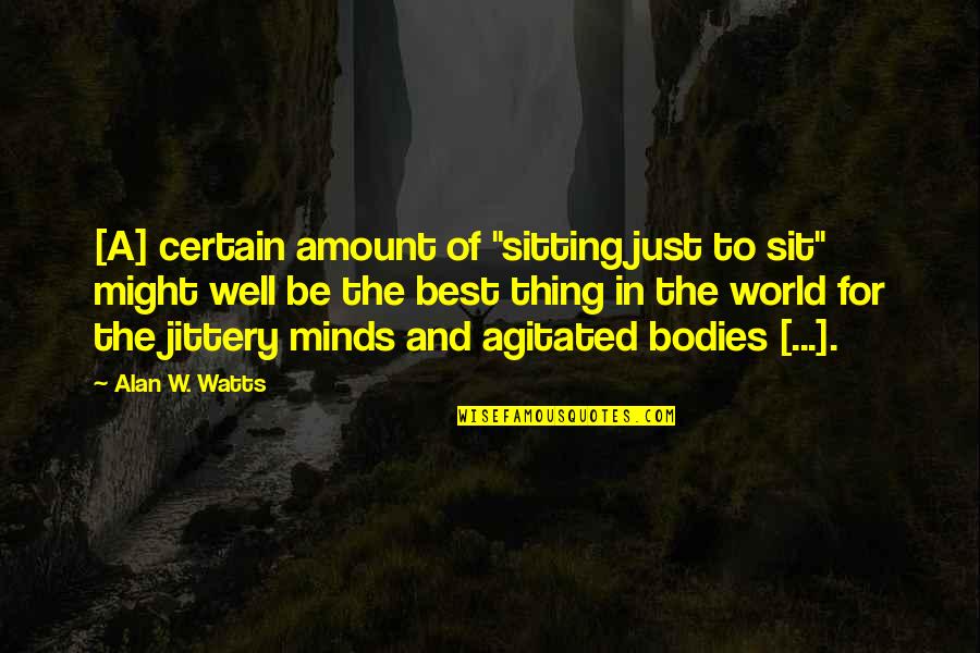 Diffracted Quotes By Alan W. Watts: [A] certain amount of "sitting just to sit"