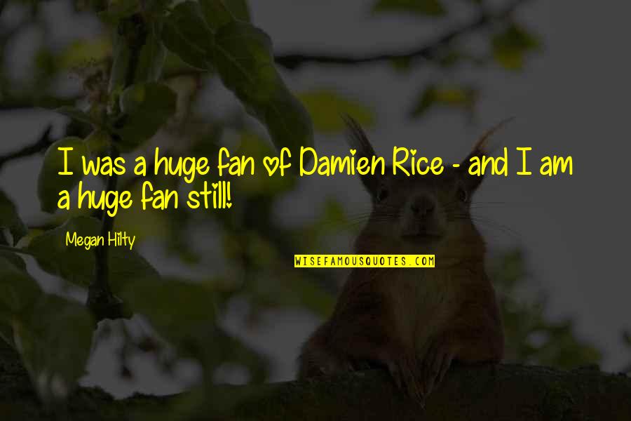 Diffrient Humanscale Quotes By Megan Hilty: I was a huge fan of Damien Rice