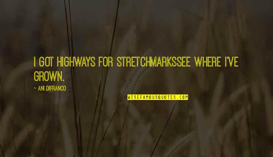 Difranco Quotes By Ani DiFranco: I got highways for stretchmarksSee where I've grown.
