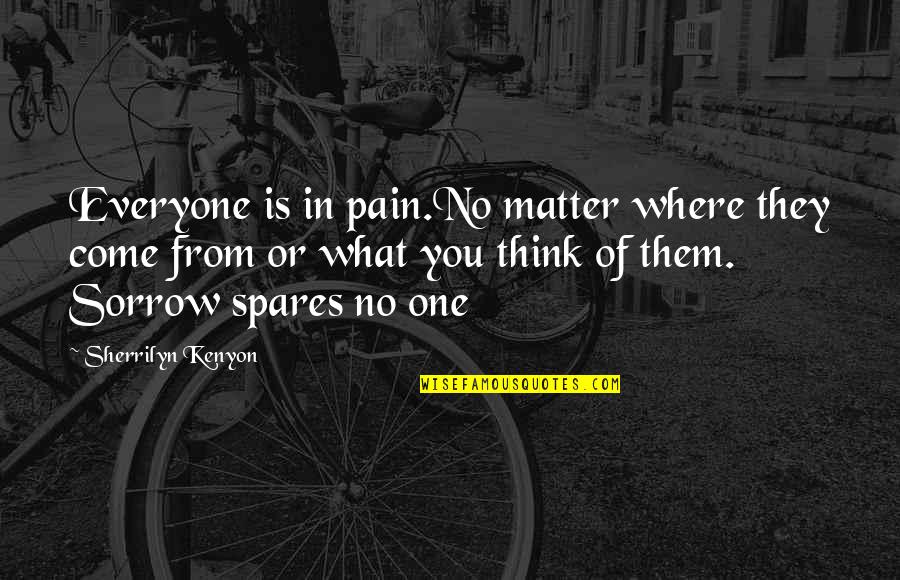 Difunden Desgarradora Quotes By Sherrilyn Kenyon: Everyone is in pain.No matter where they come