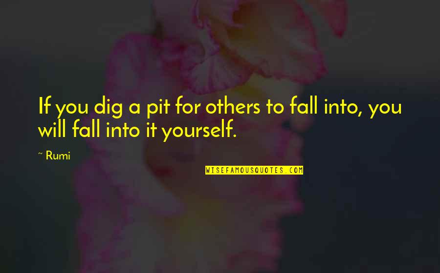 Dig It Quotes By Rumi: If you dig a pit for others to