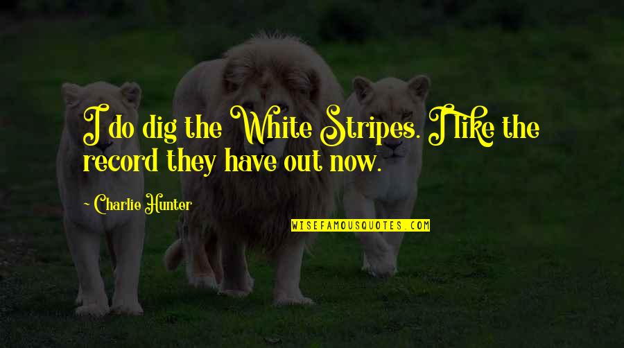 Dig Out Quotes By Charlie Hunter: I do dig the White Stripes. I like