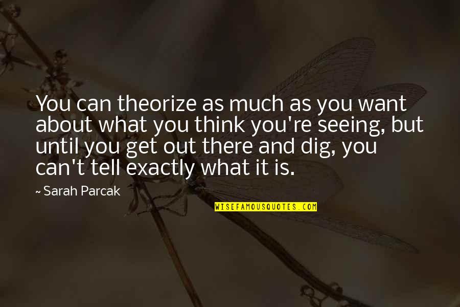 Dig Out Quotes By Sarah Parcak: You can theorize as much as you want