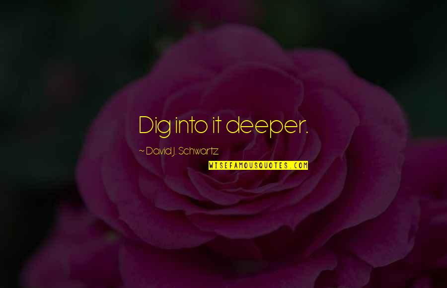 Dig Quotes By David J. Schwartz: Dig into it deeper.