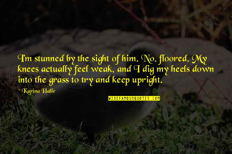 Dig Quotes By Karina Halle: I'm stunned by the sight of him. No,