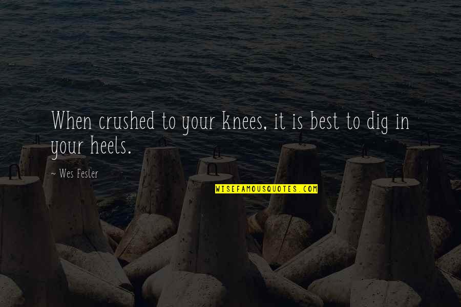 Dig Your Heels In Quotes By Wes Fesler: When crushed to your knees, it is best Dig Your Heels In Quotes By Wes Fesler: When crushed to your knees, it is best