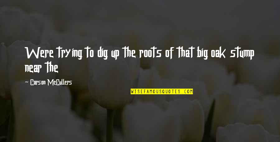 Dig Your Roots Quotes By Carson McCullers: Were trying to dig up the roots of