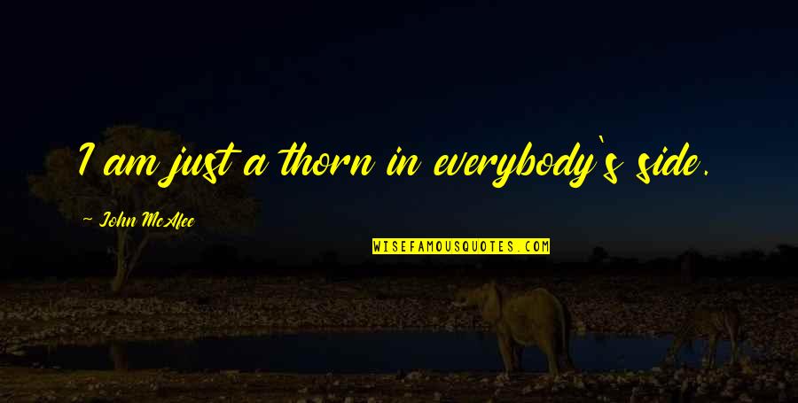 Digenakis Wines Quotes By John McAfee: I am just a thorn in everybody's side. Digenakis Wines Quotes By John McAfee: I am just a thorn in everybody's side.