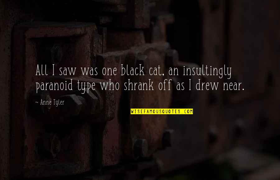 Digeriai Quotes By Anne Tyler: All I saw was one black cat, an