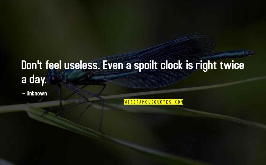 Digestibility Coefficient Quotes By Unknown: Don't feel useless. Even a spoilt clock is