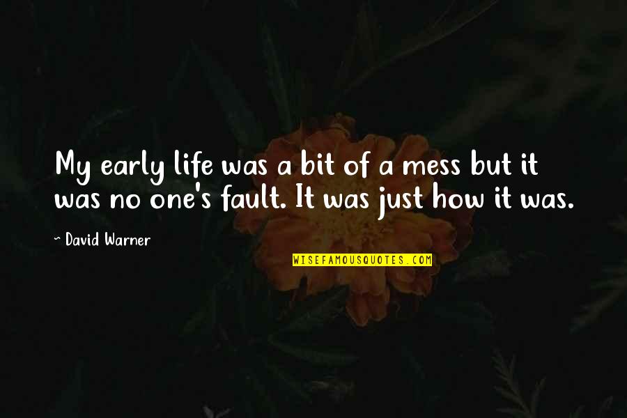 Digging My Own Grave Quotes By David Warner: My early life was a bit of a