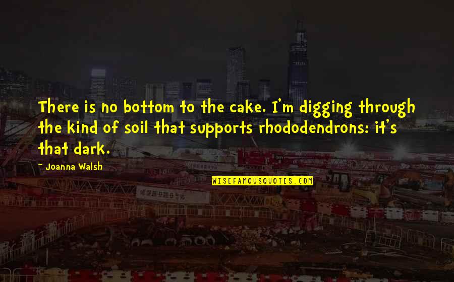 Digging Quotes By Joanna Walsh: There is no bottom to the cake. I'm