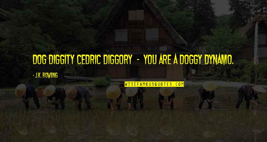 Diggity Quotes By J.K. Rowling: Dog diggity Cedric Diggory - you are a