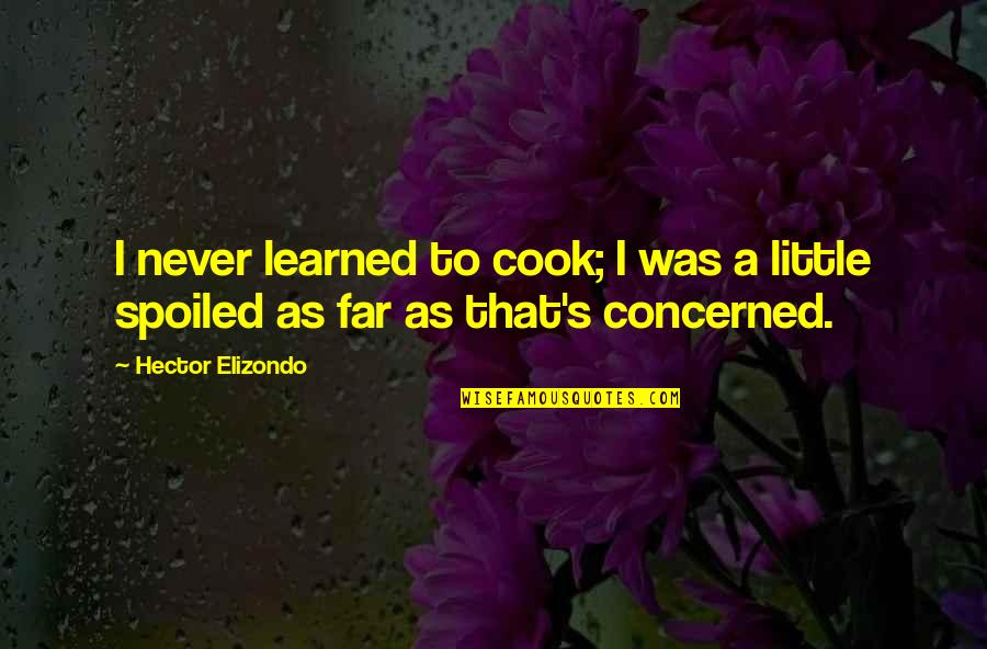 Diggity Song Quotes By Hector Elizondo: I never learned to cook; I was a