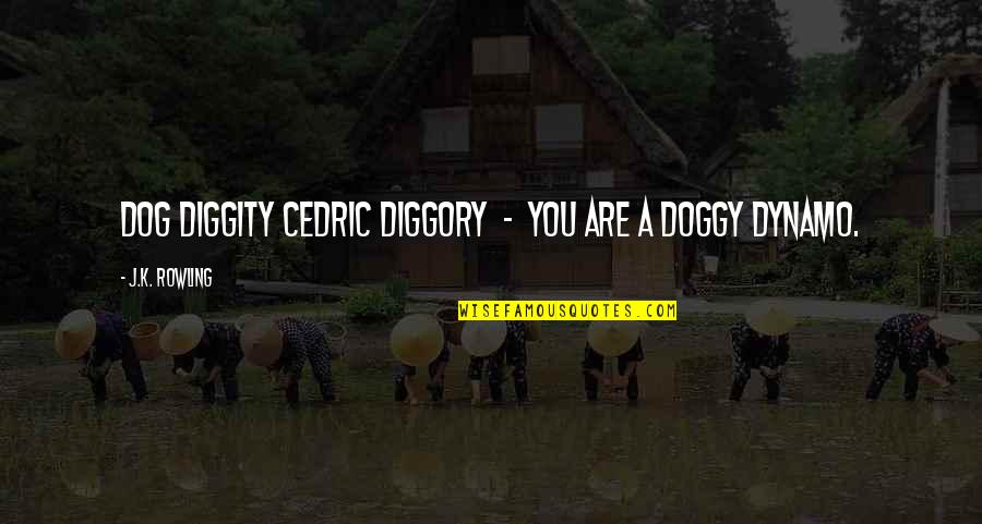 Diggory Quotes By J.K. Rowling: Dog diggity Cedric Diggory - you are a
