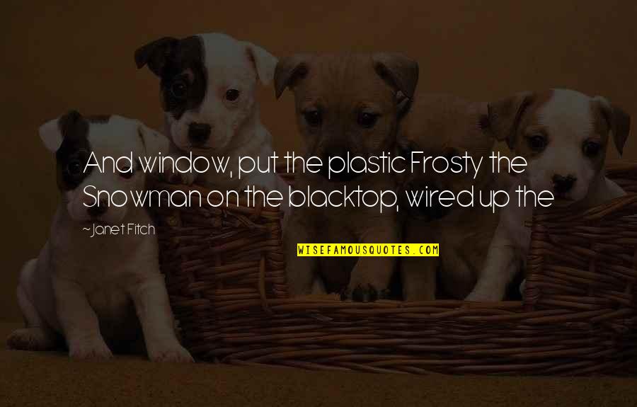 Digiorgios Key Quotes By Janet Fitch: And window, put the plastic Frosty the Snowman