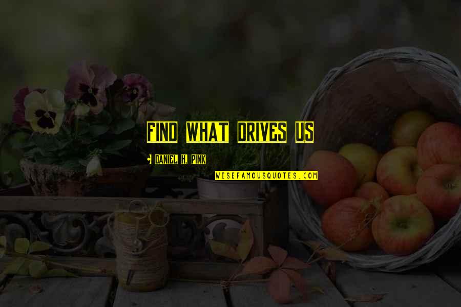 Digitalia Video Quotes By Daniel H. Pink: find what drives us Digitalia Video Quotes By Daniel H. Pink: find what drives us