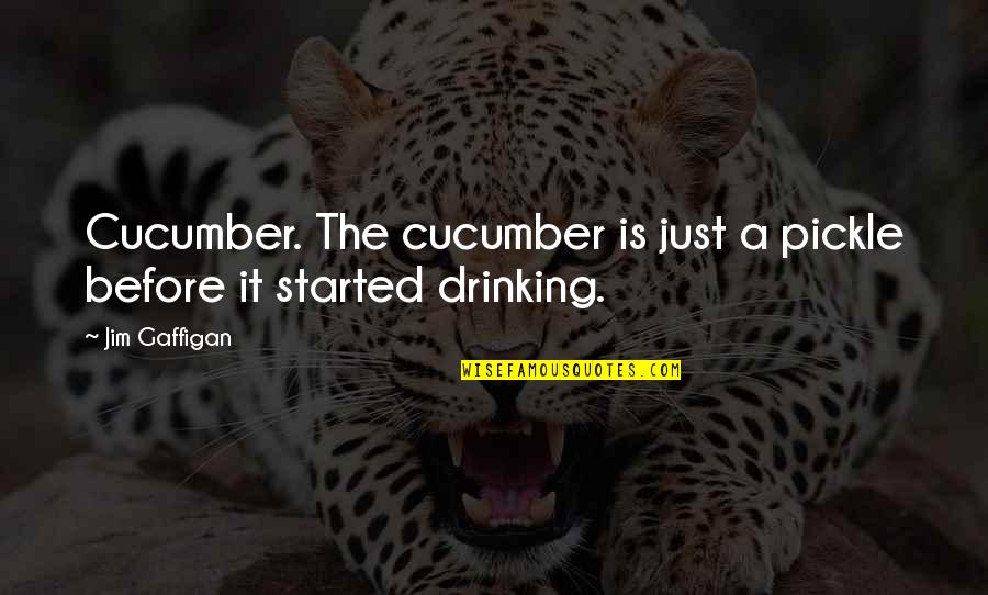 Digitalis Toxicity Quotes By Jim Gaffigan: Cucumber. The cucumber is just a pickle before