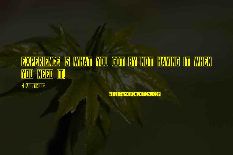 Dignified Status Quotes By Anonymous: Experience is what you got by not having