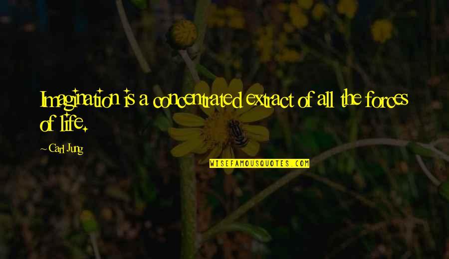 Dignite Quotes By Carl Jung: Imagination is a concentrated extract of all the