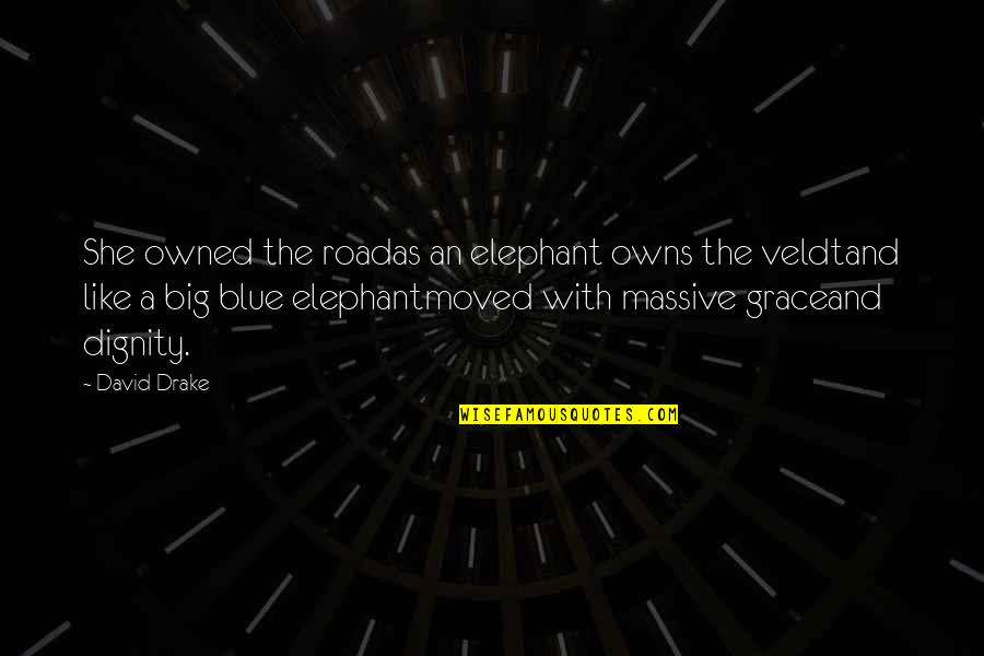Dignity And Grace Quotes By David Drake: She owned the roadas an elephant owns the