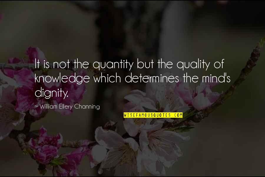 Dignity's Quotes By William Ellery Channing: It is not the quantity but the quality