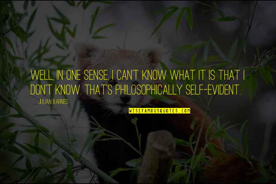 Dijken En Quotes By Julian Barnes: Well, in one sense, I can't know what Dijken En Quotes By Julian Barnes: Well, in one sense, I can't know what