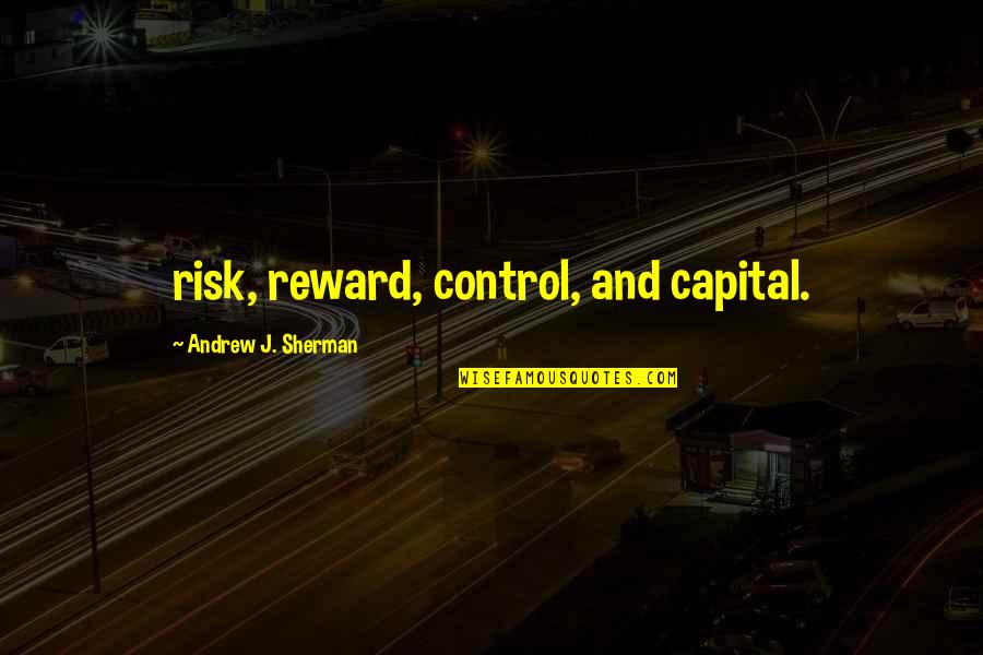 Dijkhuis Te Quotes By Andrew J. Sherman: risk, reward, control, and capital.