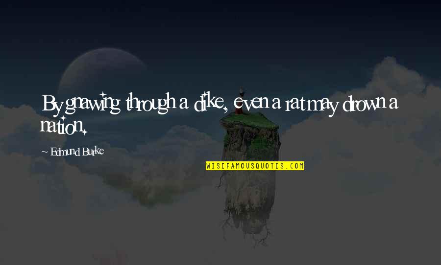 Dike Quotes By Edmund Burke: By gnawing through a dike, even a rat