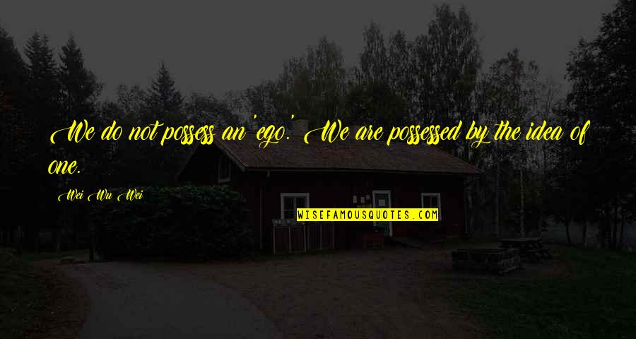 Dil In Urdu Quotes By Wei Wu Wei: We do not possess an 'ego.' We are