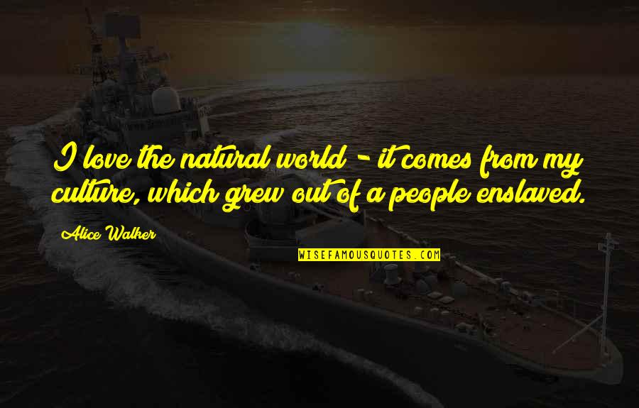 Dilan 1991 Quotes By Alice Walker: I love the natural world - it comes Dilan 1991 Quotes By Alice Walker: I love the natural world - it comes