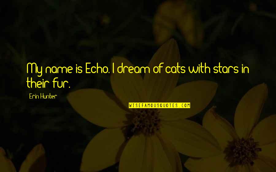 Dilated Pore Of Winer Quotes By Erin Hunter: My name is Echo. I dream of cats