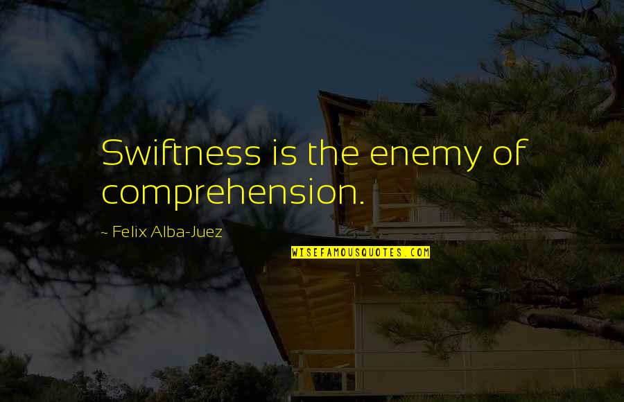 Dilated Pore Of Winer Quotes By Felix Alba-Juez: Swiftness is the enemy of comprehension.