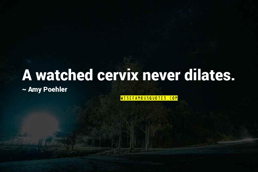 Dilates Your Cervix Quotes By Amy Poehler: A watched cervix never dilates. Dilates Your Cervix Quotes By Amy Poehler: A watched cervix never dilates.