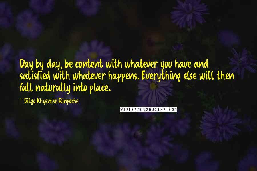 Dilgo Khyentse Rinpoche quotes: Day by day, be content with whatever you have and satisfied with whatever happens. Everything else will then fall naturally into place.