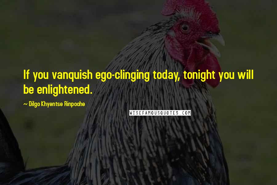 Dilgo Khyentse Rinpoche quotes: If you vanquish ego-clinging today, tonight you will be enlightened.