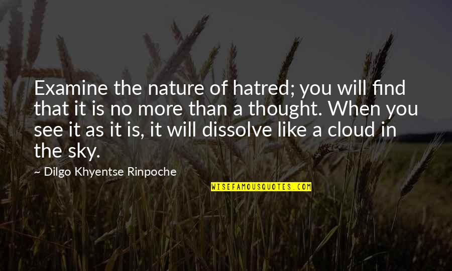 Dilgo Khyentse Rinpoche Quotes By Dilgo Khyentse Rinpoche: Examine the nature of hatred; you will find