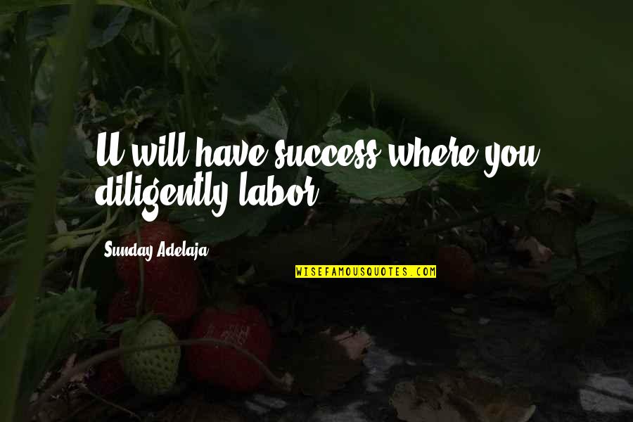Diligence In Work Quotes By Sunday Adelaja: U will have success where you diligently labor